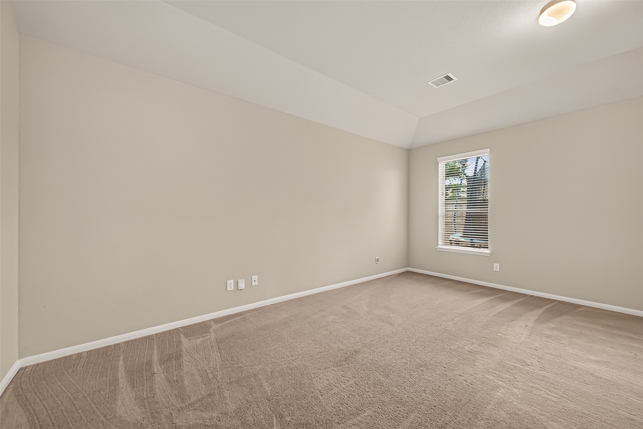 4411 Buentello Drive Property Photo 29