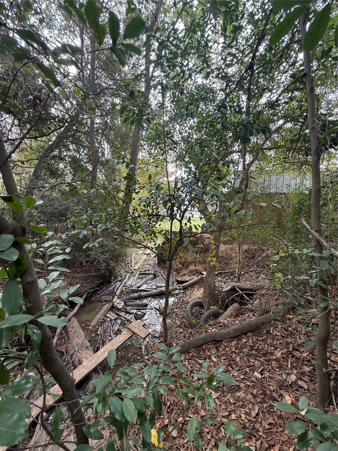 0 Sequoia Drive Property Photo 1