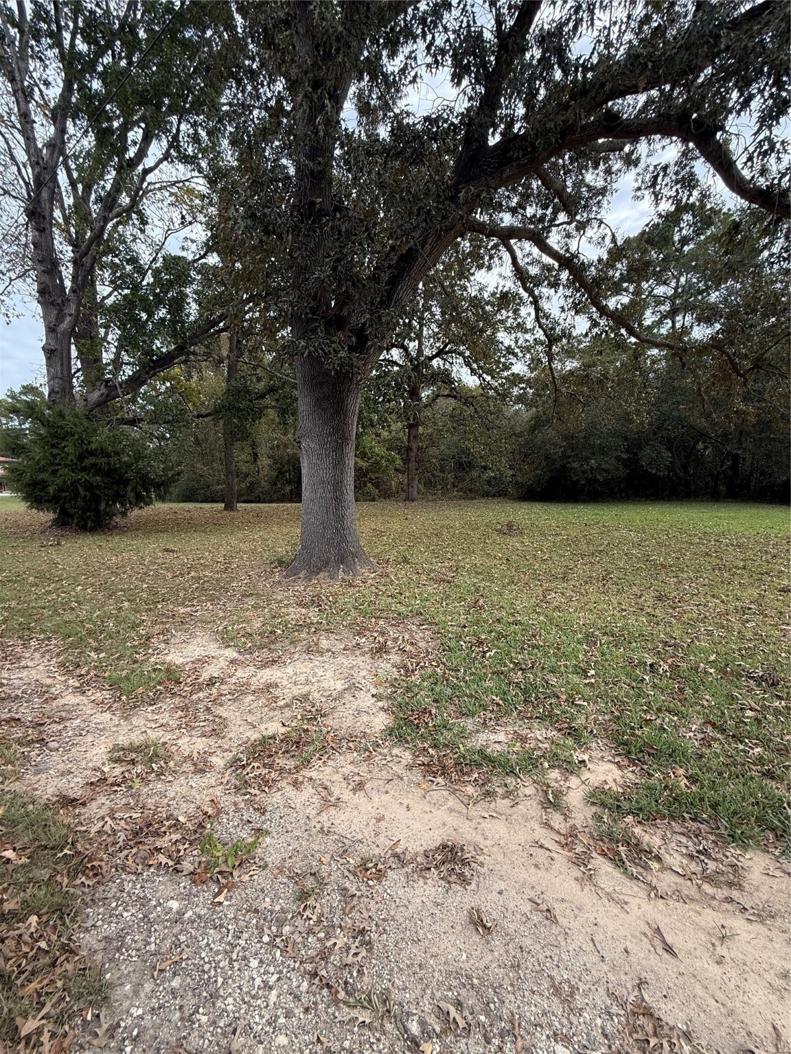 0 Sequoia Drive Property Photo 3