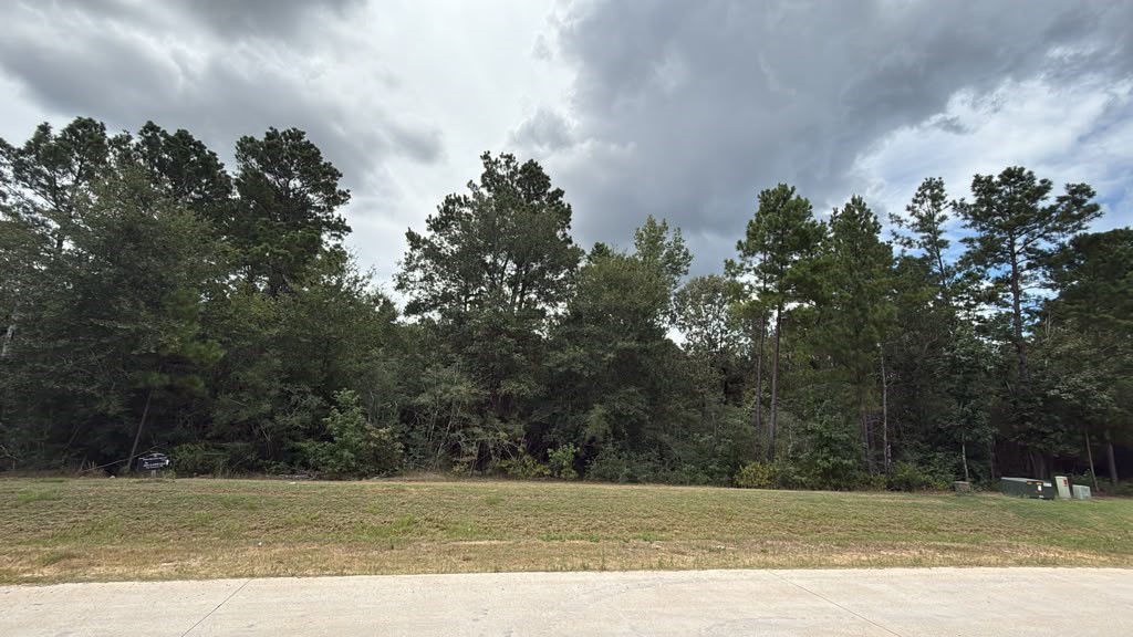 23725 Birch Grove Rd Property Photo 5