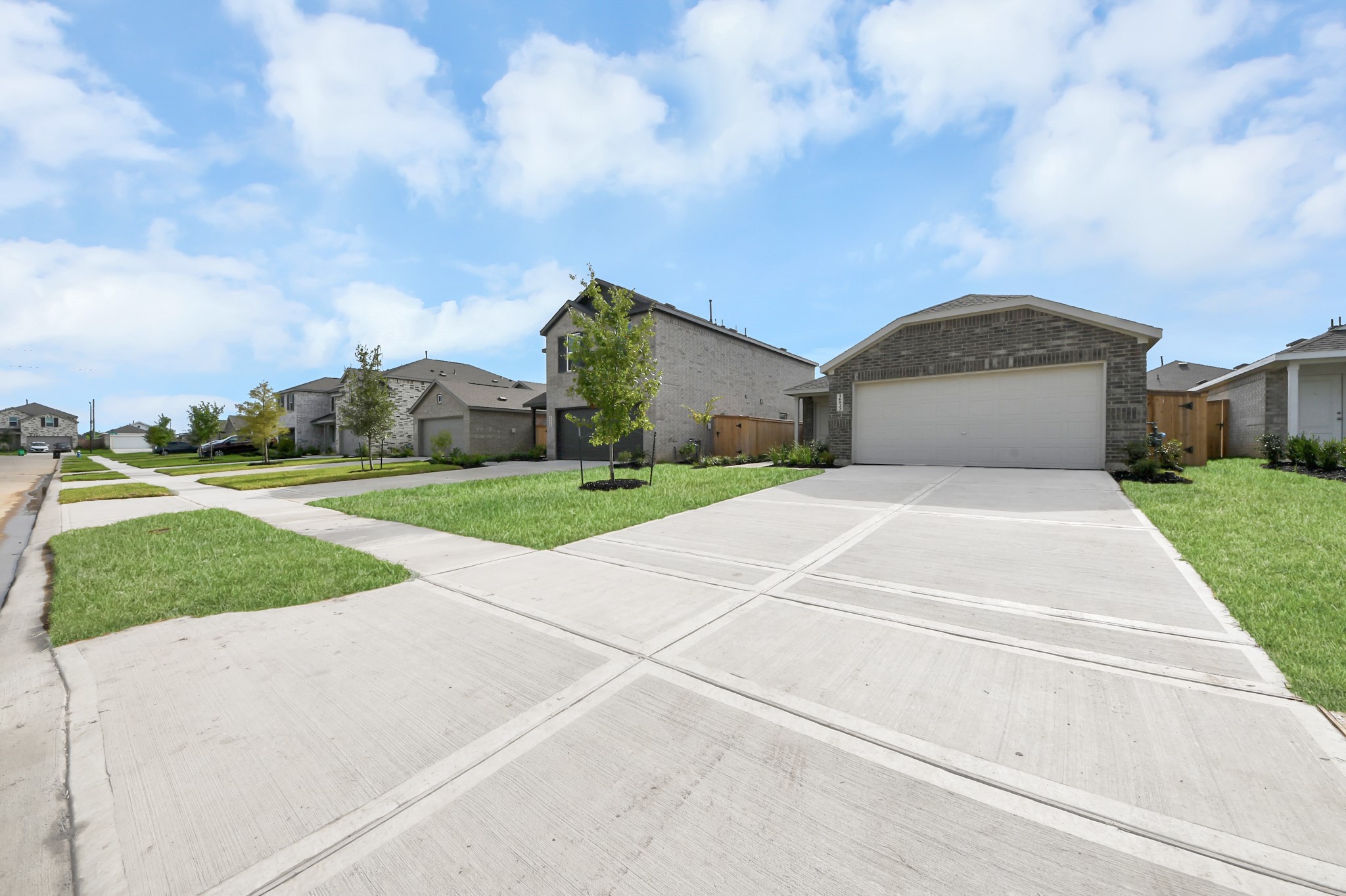 16822 Spotted Oak Drive Property Photo 4