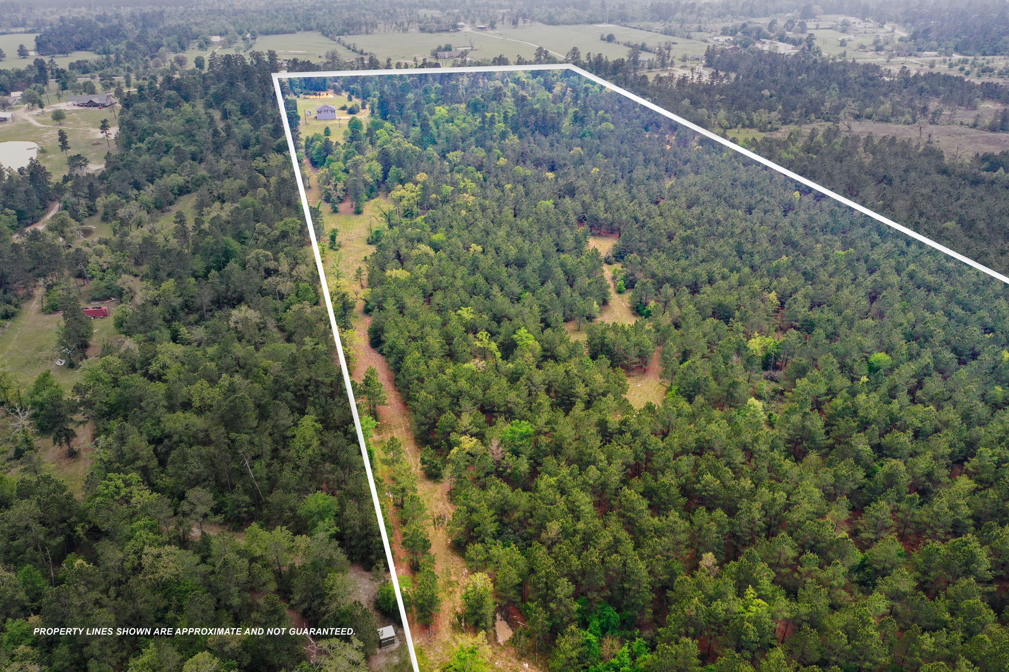 972 Fm 1696 Road W Property Photo 5