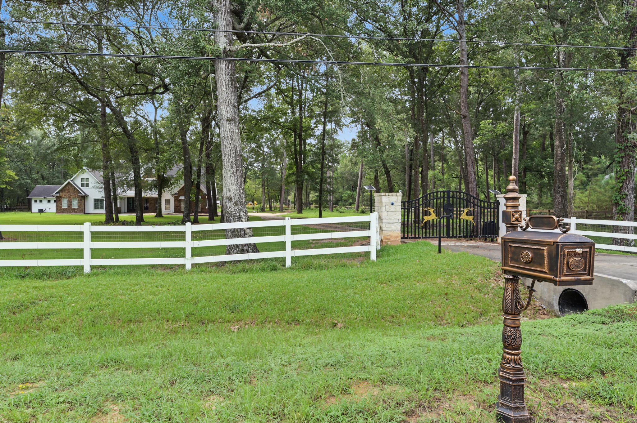 10933 Lake Forest Drive Property Photo 3