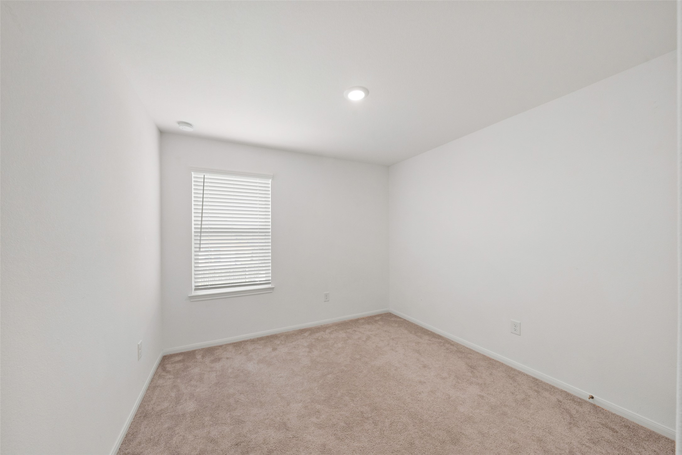 8218 Star Terrace Drive Property Photo 16