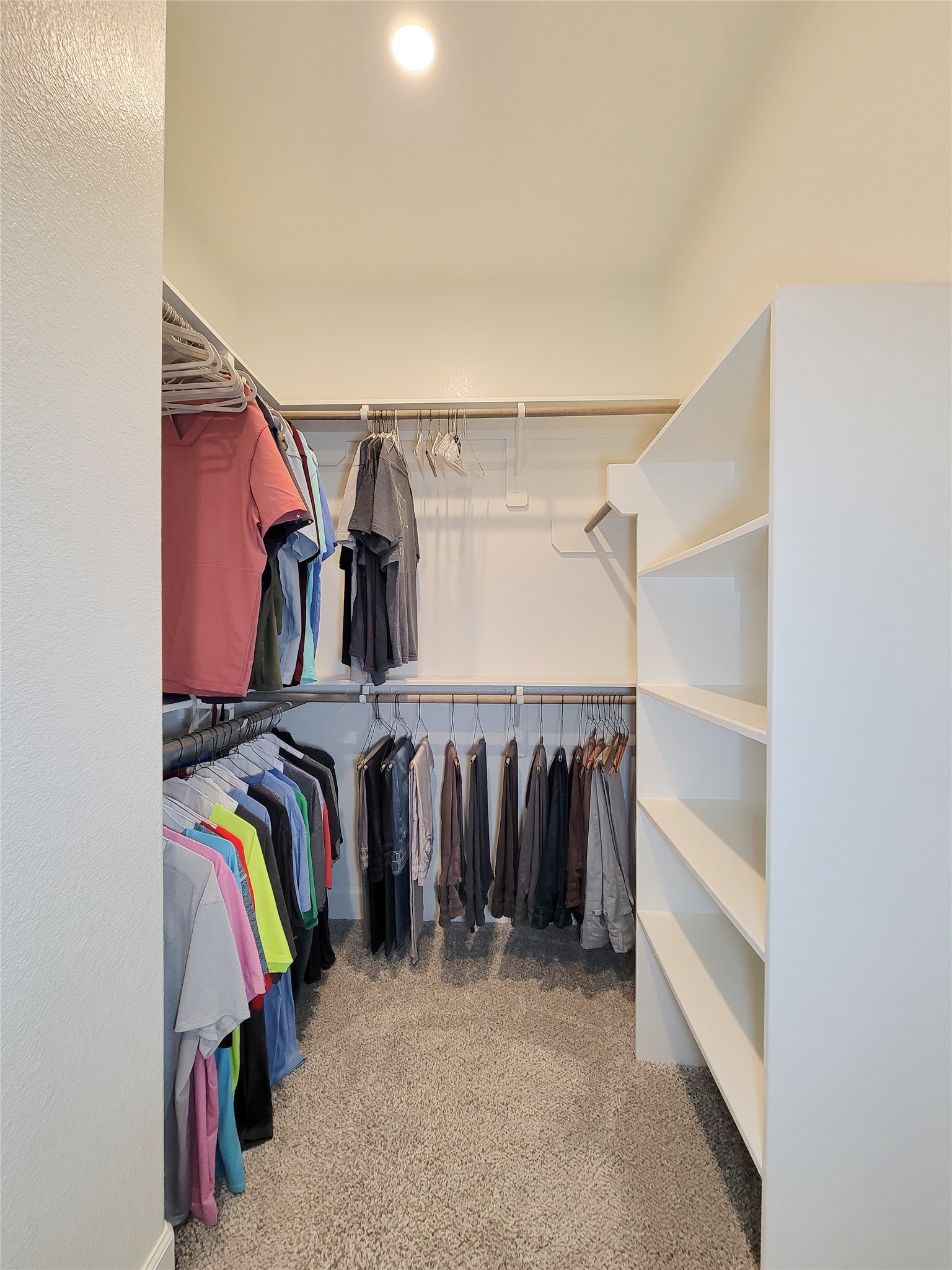 7519 Blue Finch Lane Property Photo 42