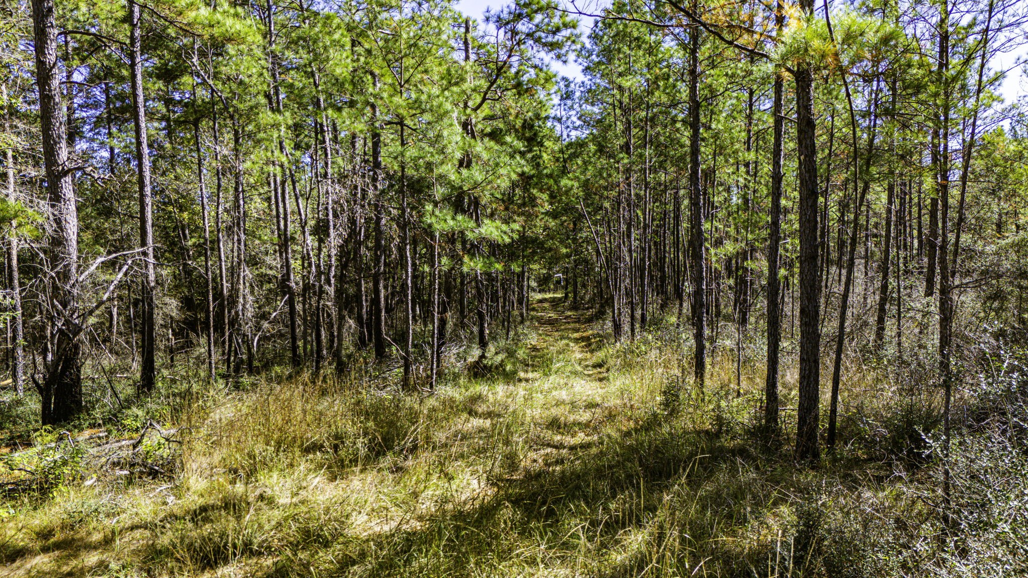 034 Magnolia Ranch Road Property Photo 4