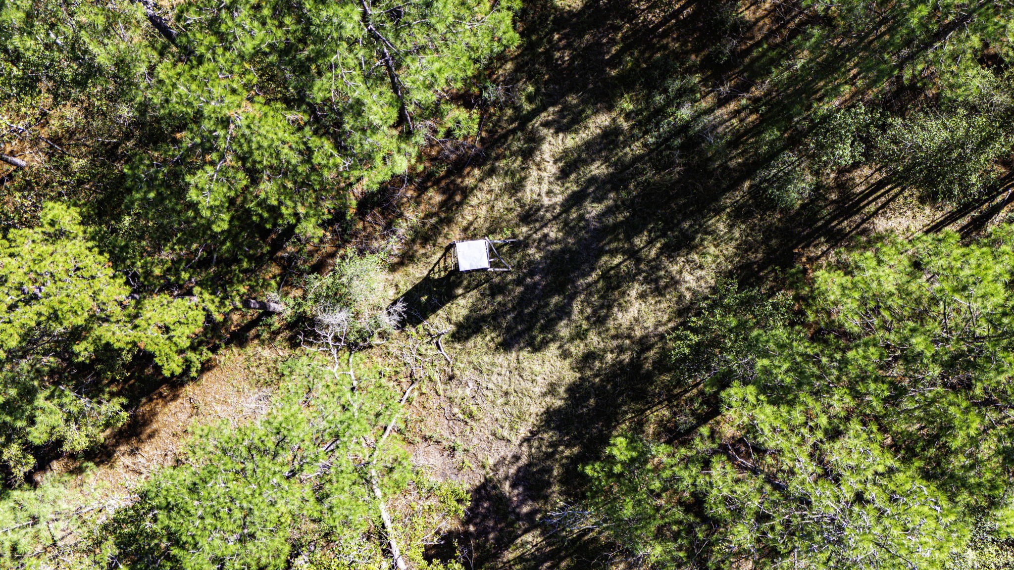 034 Magnolia Ranch Road Property Photo 10
