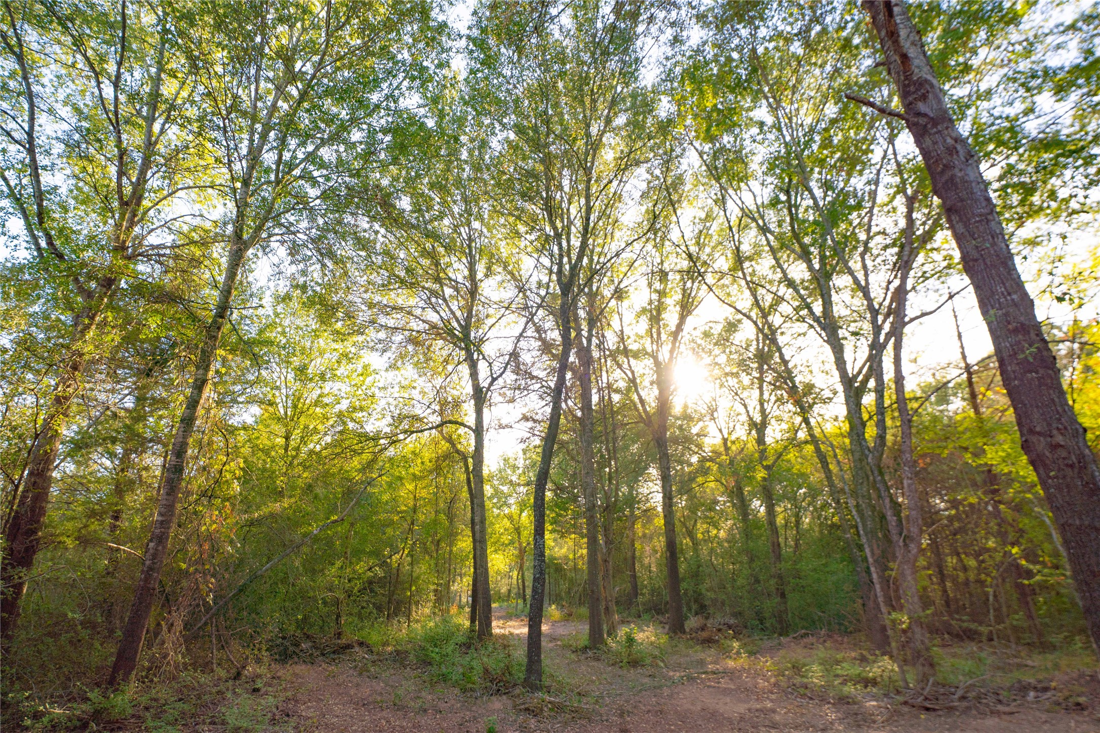 12424 Red Hill Rd Road Property Photo 3