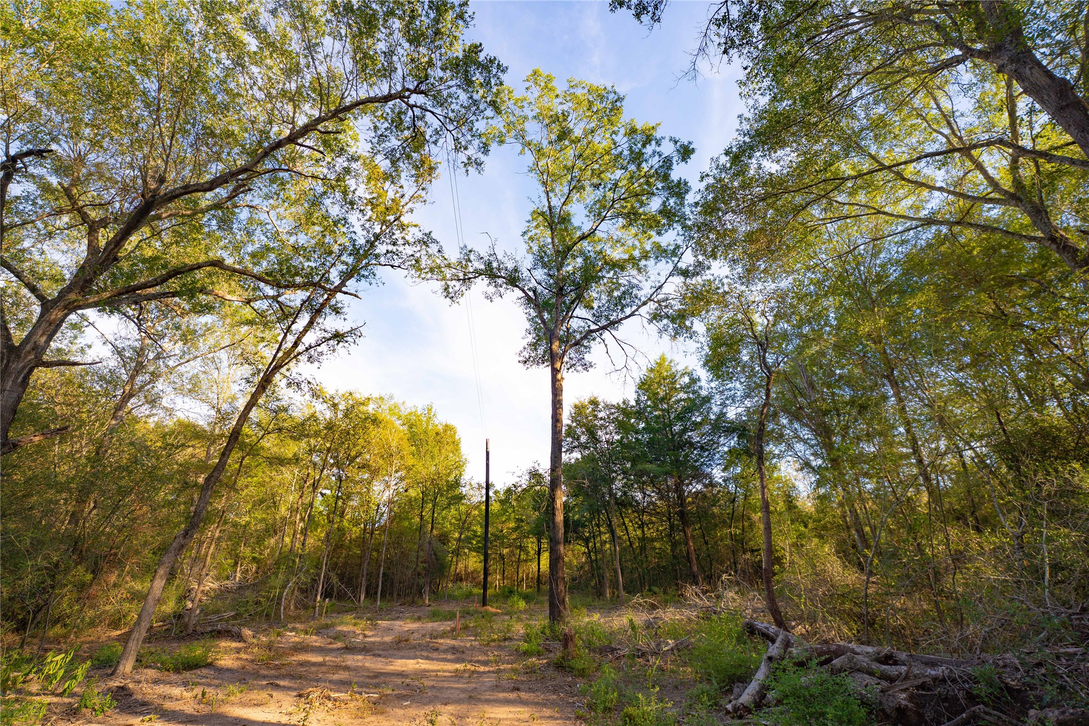 12424 Red Hill Rd Road Property Photo 4
