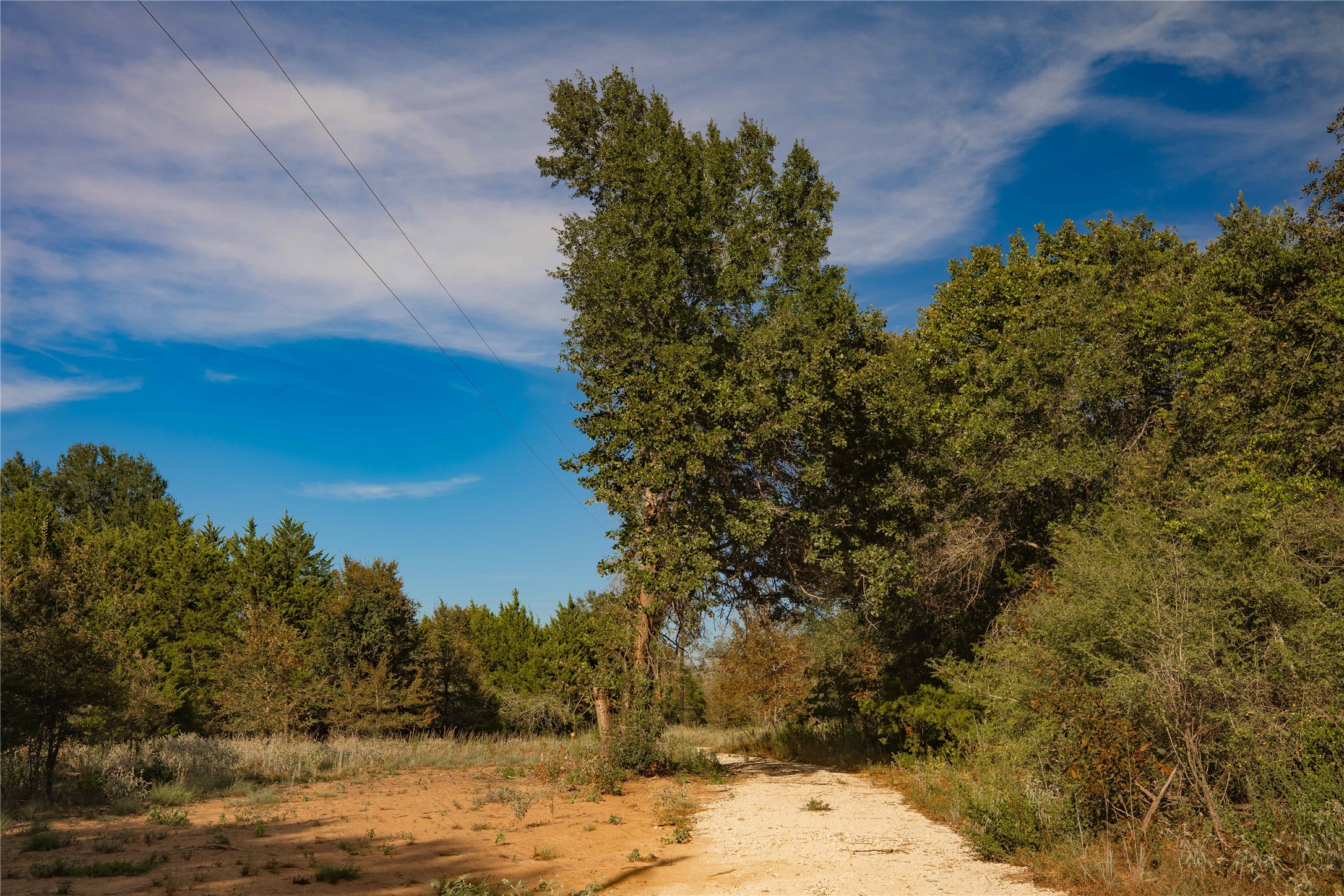 12424 Red Hill Rd Road Property Photo 10