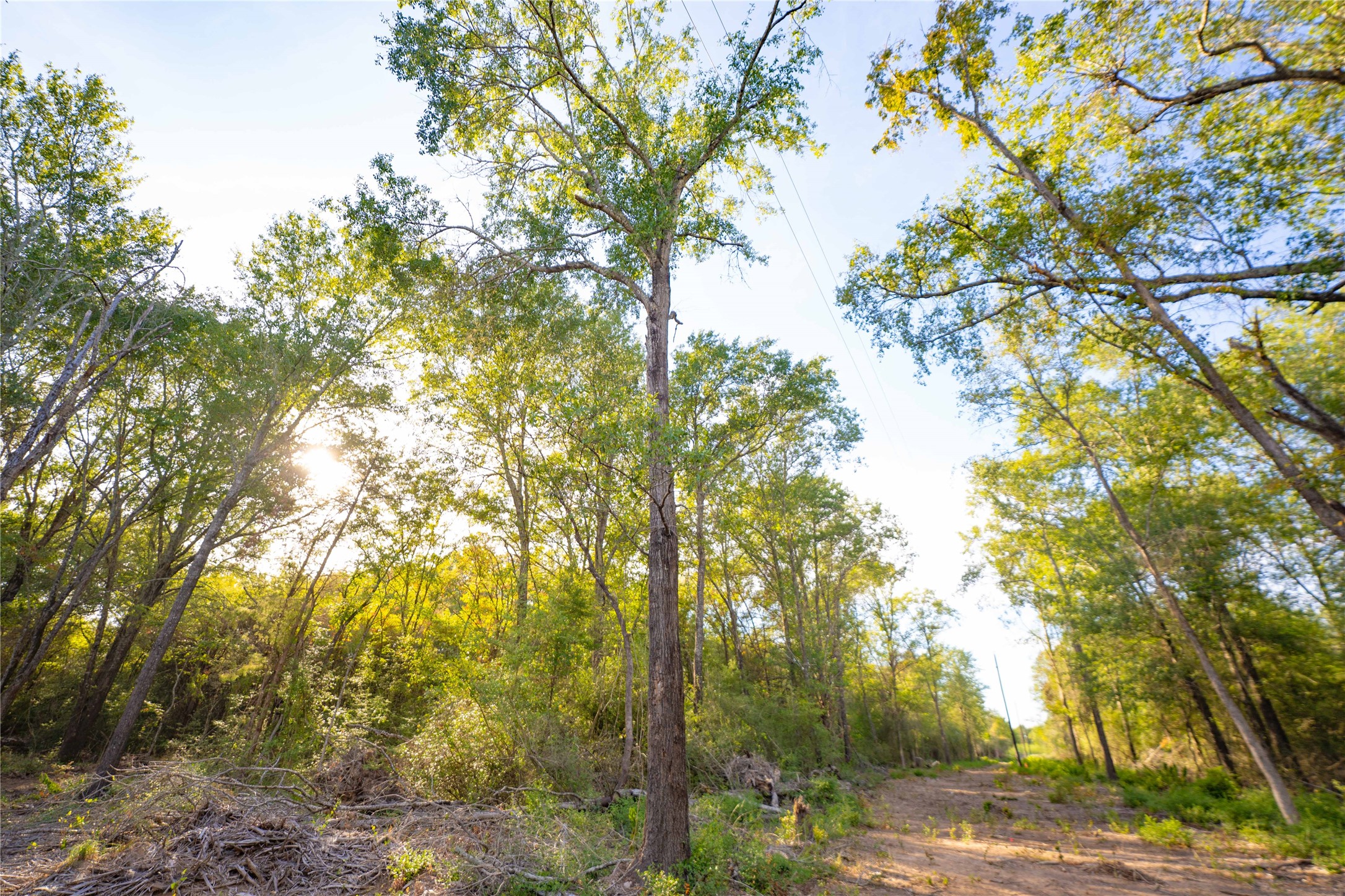 12424 Red Hill Rd Road Property Photo 12