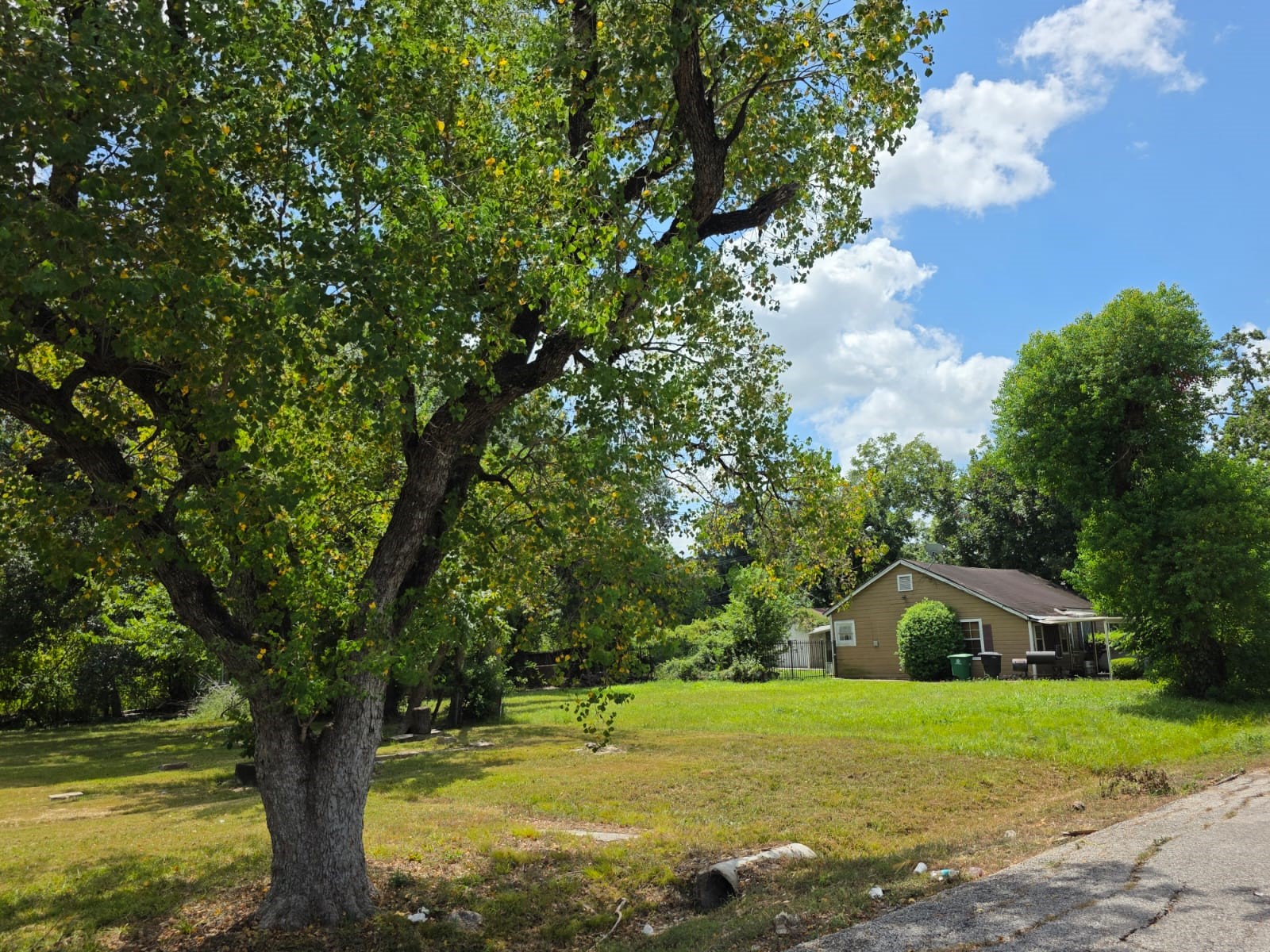 6821 Beachwood Street Property Photo 8