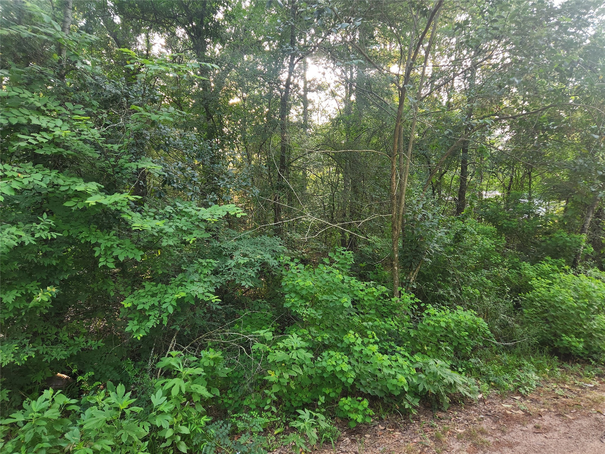 Lot 20 Mossyknoll Drive Property Photo 1
