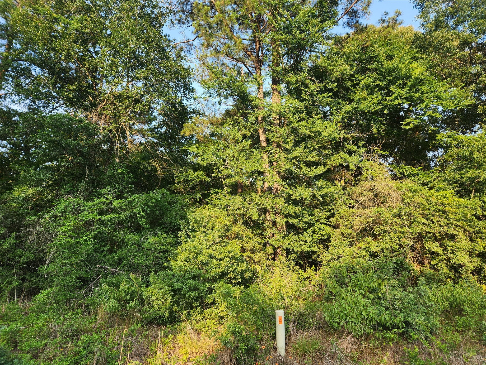 Lot 20 Mossyknoll Drive Property Photo 4