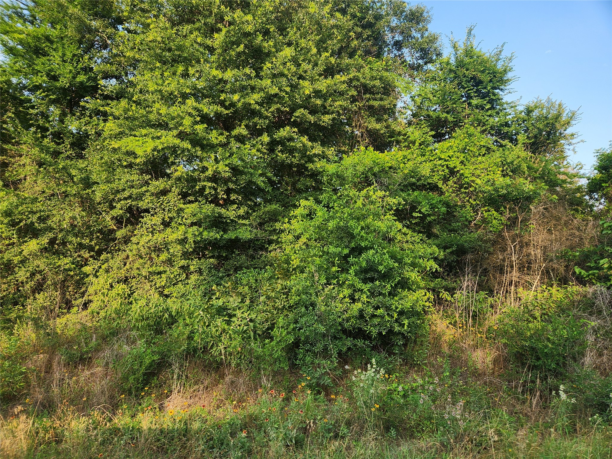 Lot 20 Mossyknoll Drive Property Photo 5