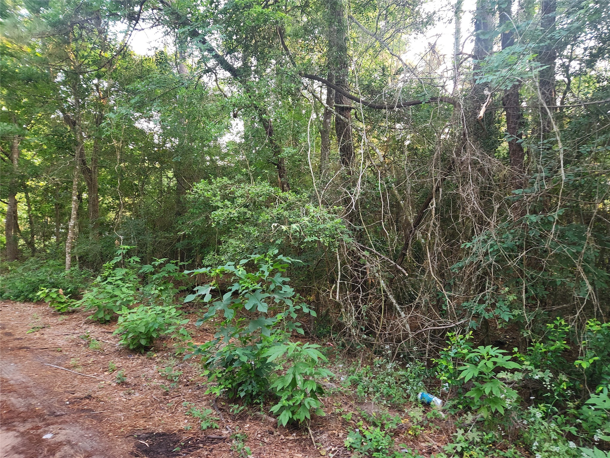 Lot 20 Mossyknoll Drive Property Photo 10