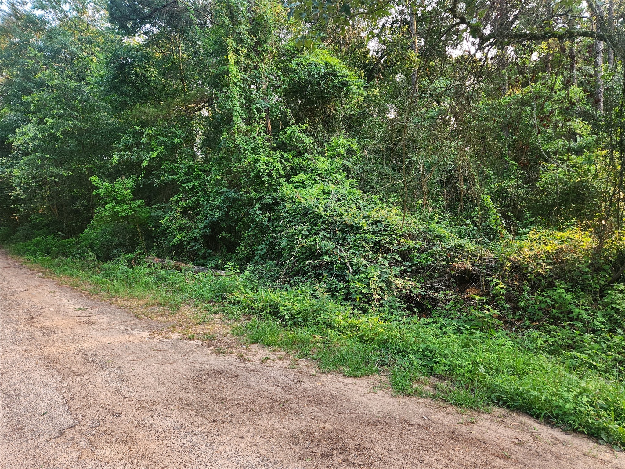 Lot 20 Mossyknoll Drive Property Photo 12