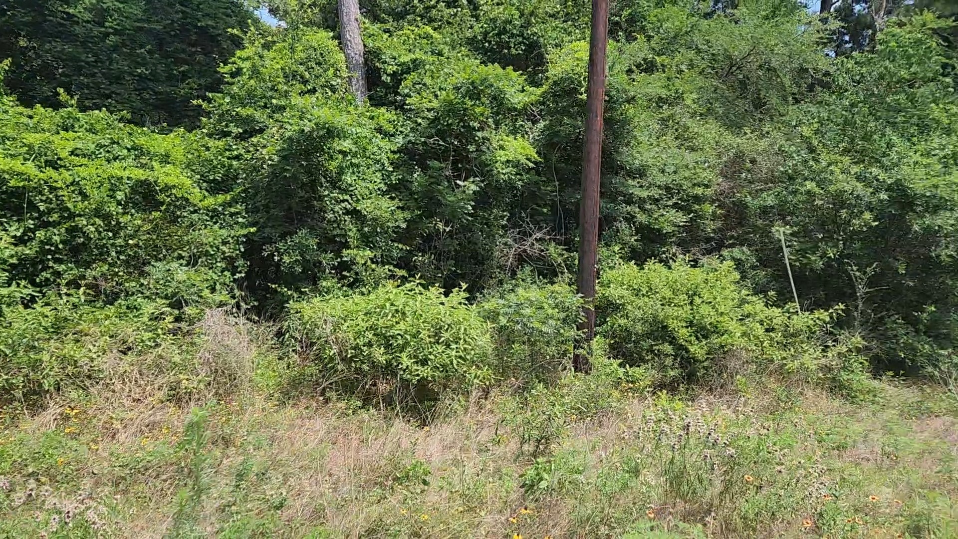 Lot 20 Mossyknoll Drive Property Photo 18
