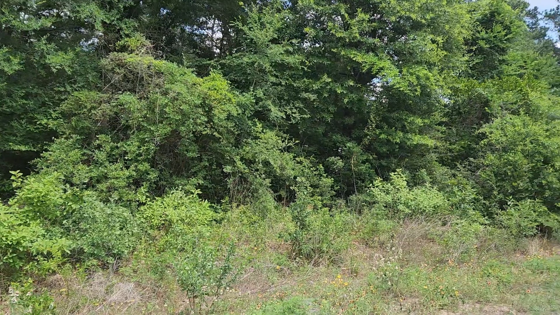 Lot 20 Mossyknoll Drive Property Photo 21