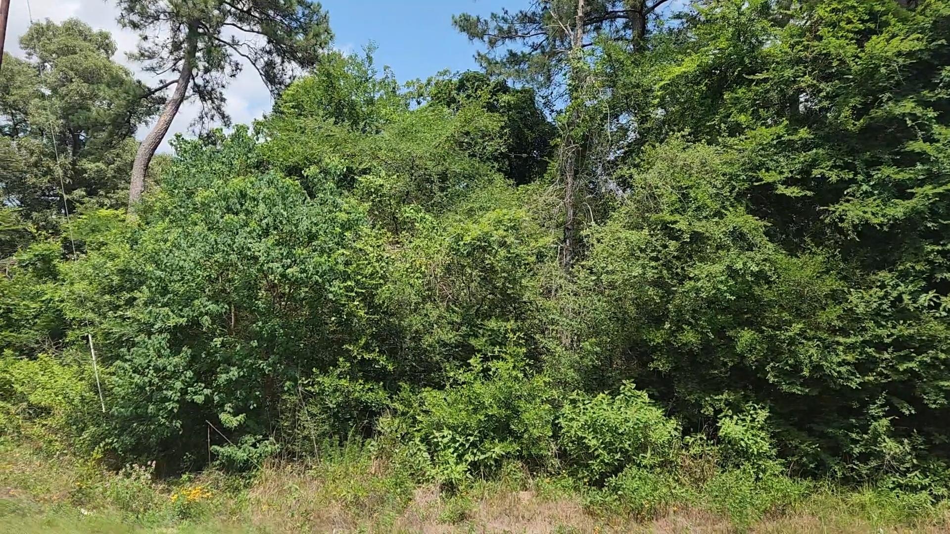 Lot 20 Mossyknoll Drive Property Photo 22