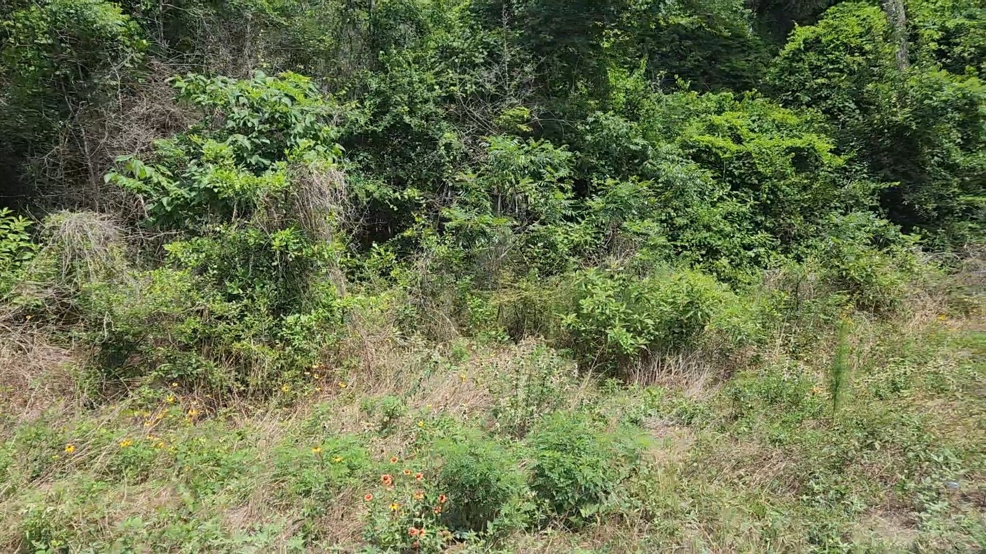 Lot 20 Mossyknoll Drive Property Photo 24