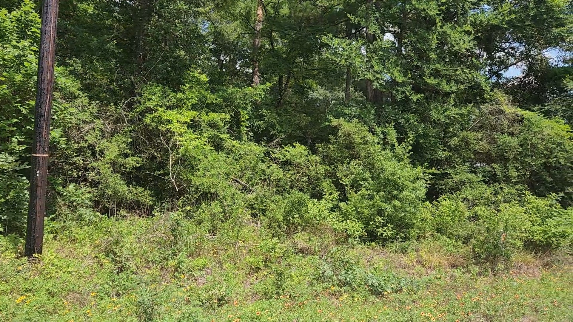 Lot 20 Mossyknoll Drive Property Photo 25
