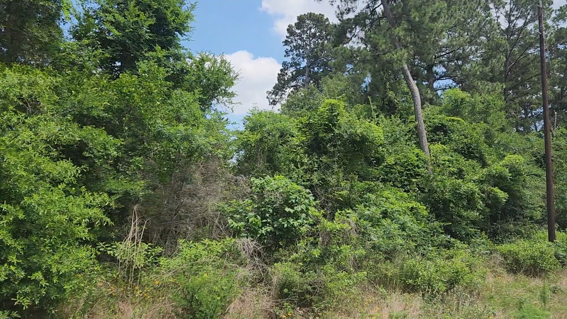 Lot 20 Mossyknoll Drive Property Photo 28