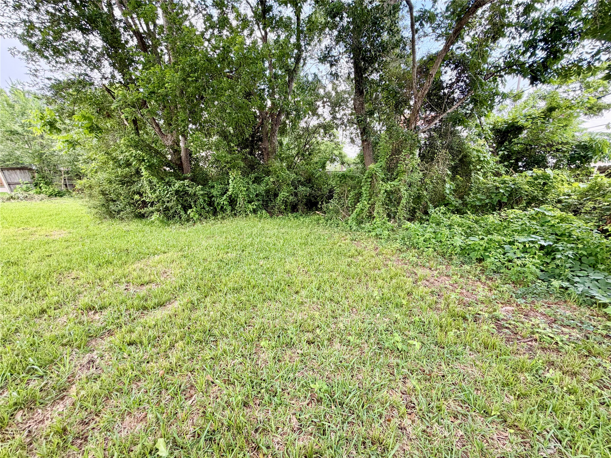 0 Shirleen Drive Property Photo 10