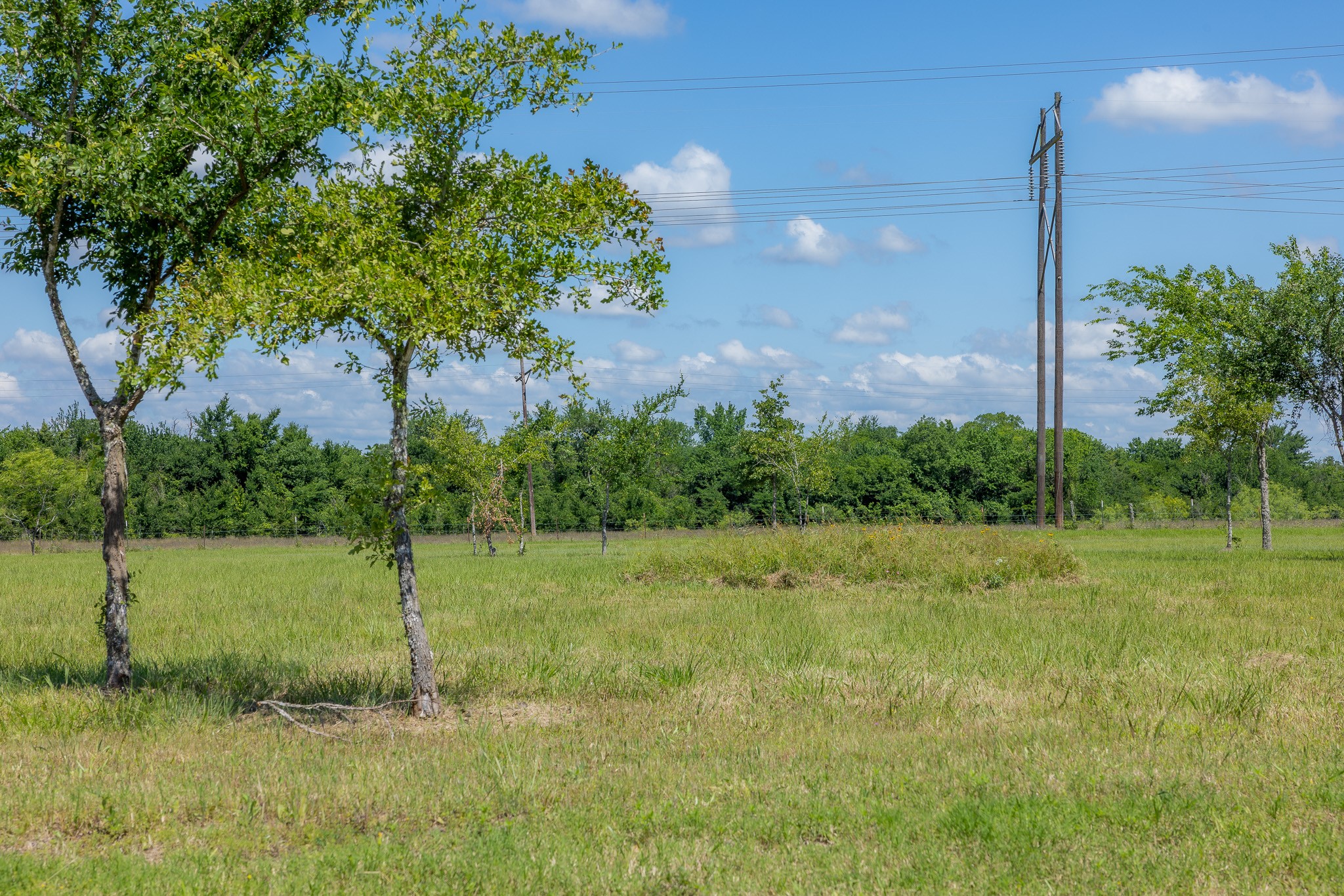 6781 Atakapan Trail Property Photo 3