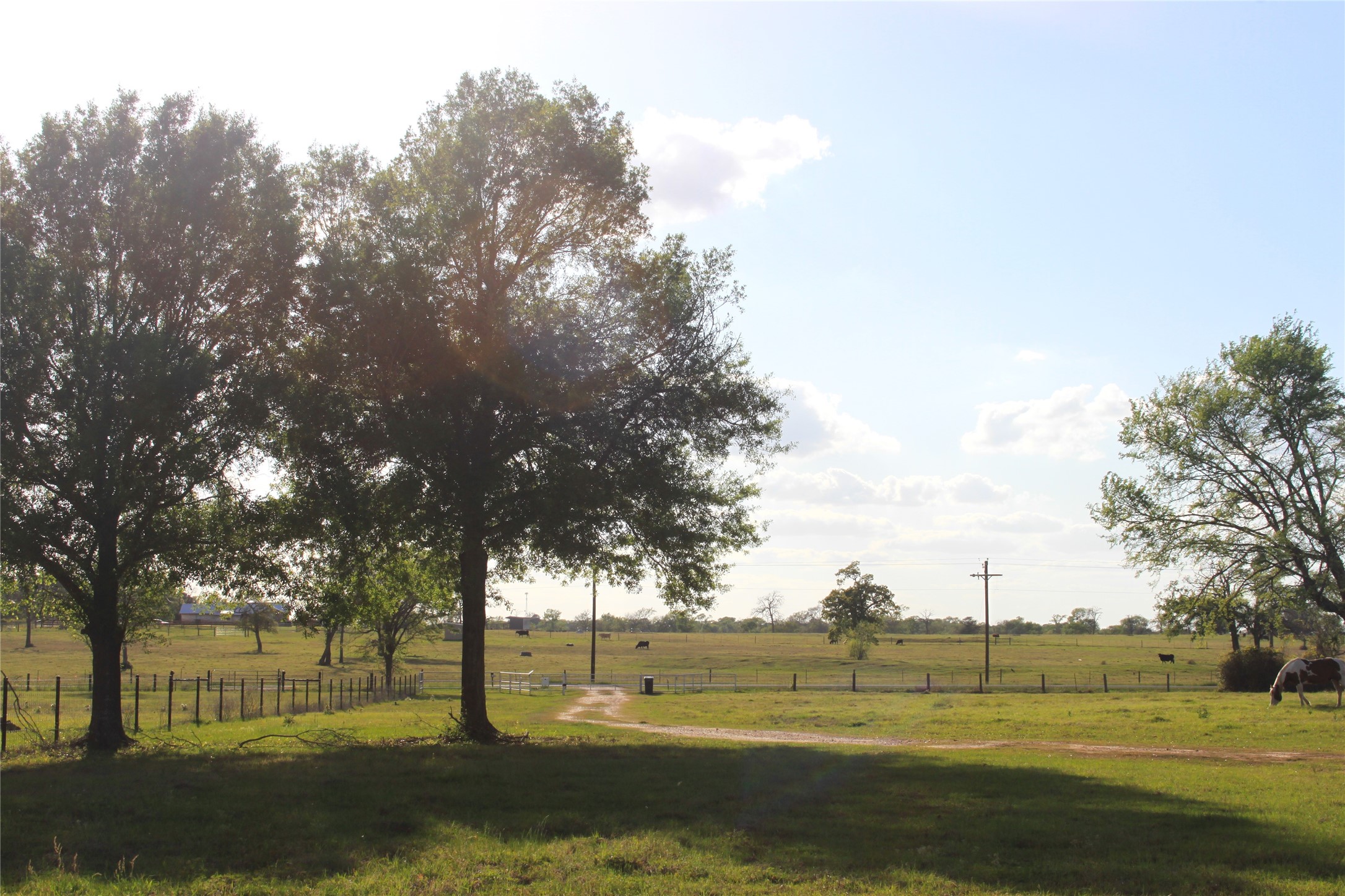 27134 Muckelroy Road Property Photo 4