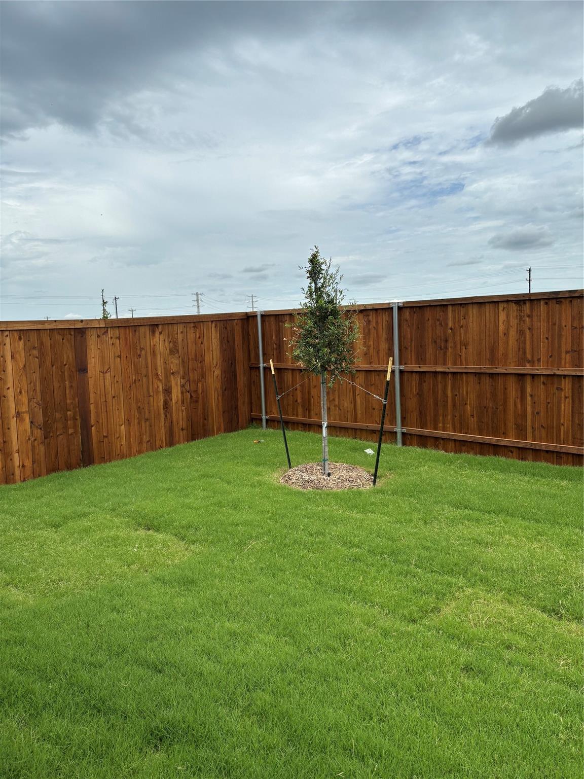 557 Falling Cave Drive, Willis Tx 77378 Property Photo 32