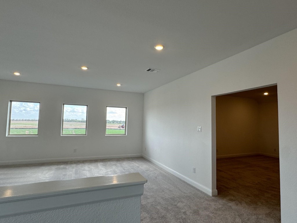 31407 Meadow Run Lane Property Photo 12