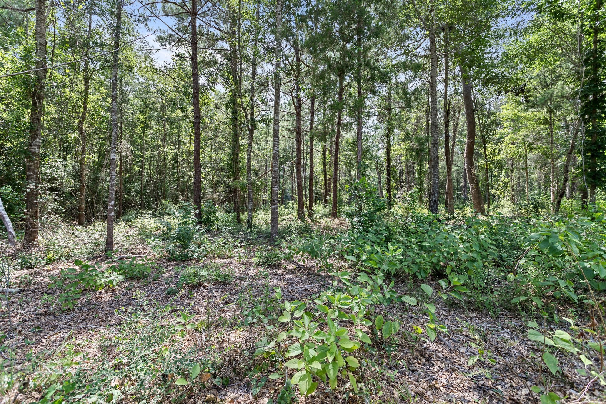 1111 County Road 4370 Property Photo 35