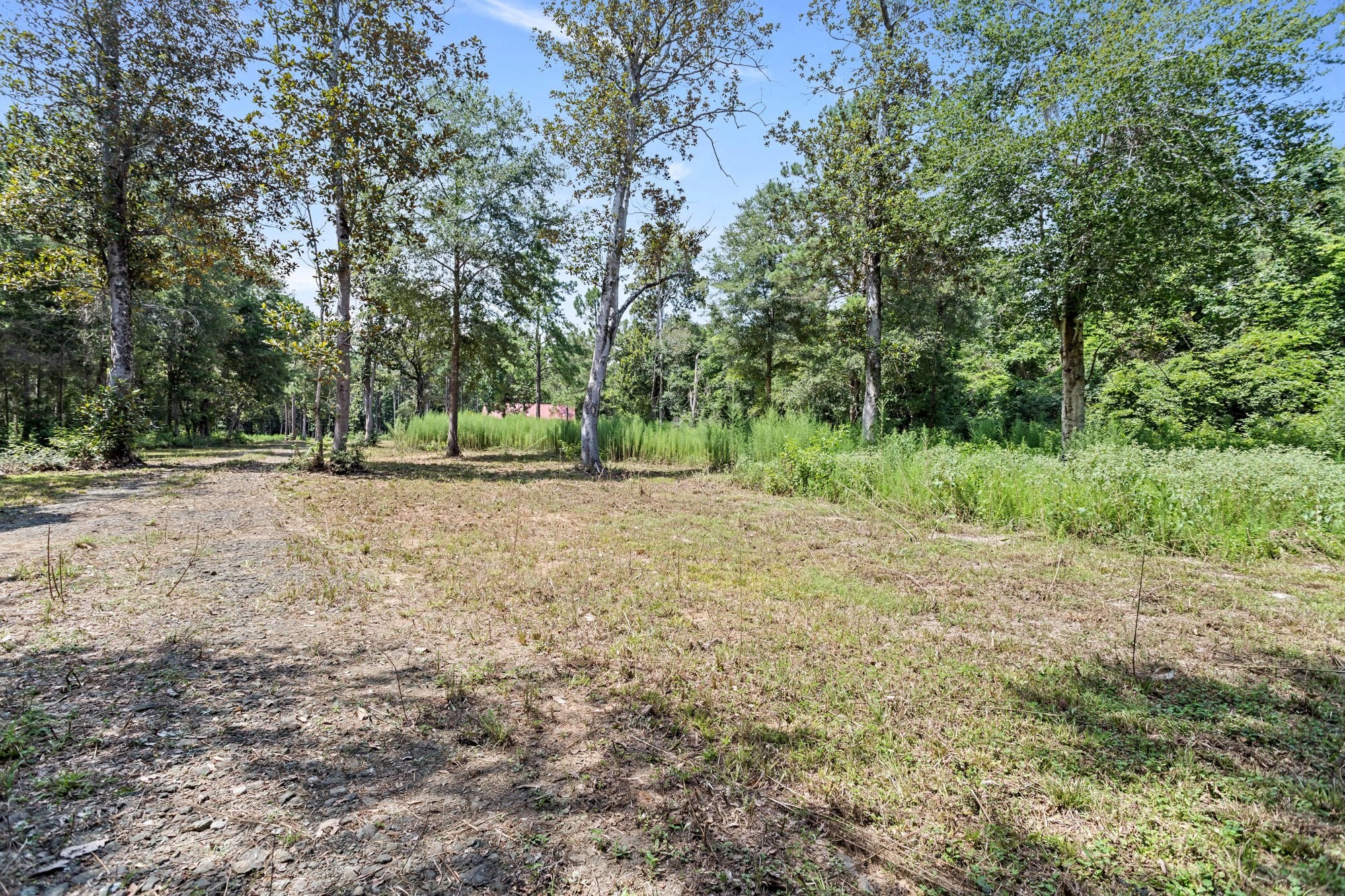 1111 County Road 4370 Property Photo 38