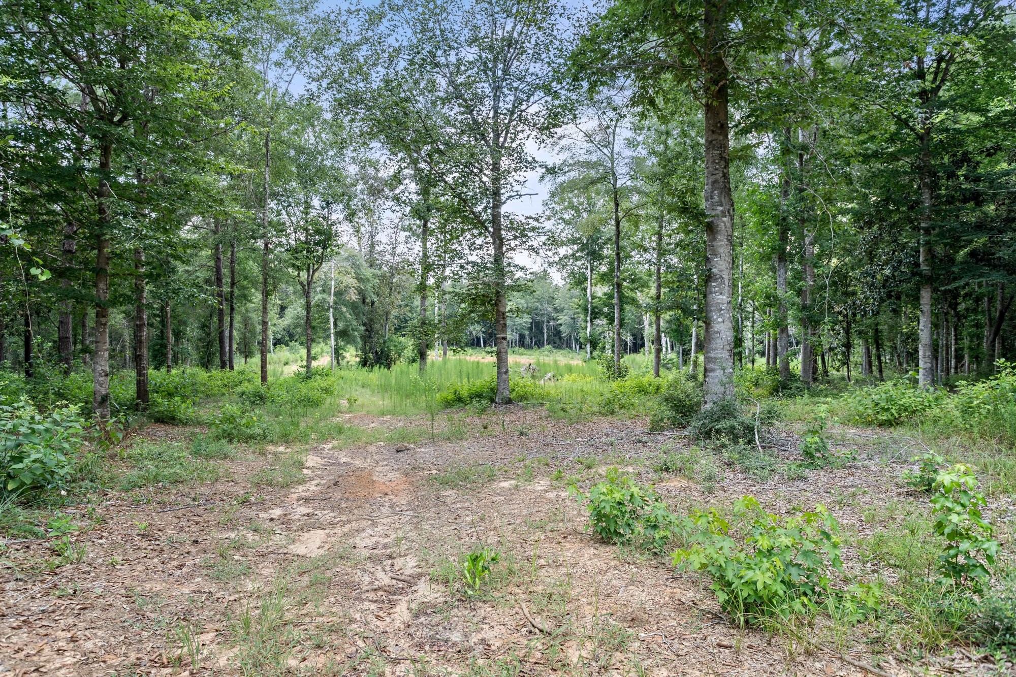 1111 County Road 4370 Property Photo 39