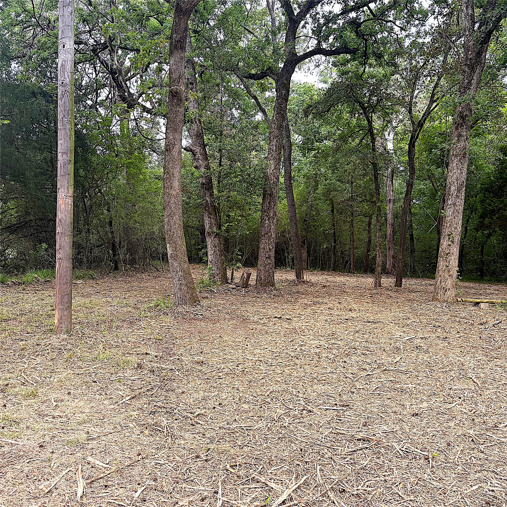 12789 E County Road 112 Property Photo 2