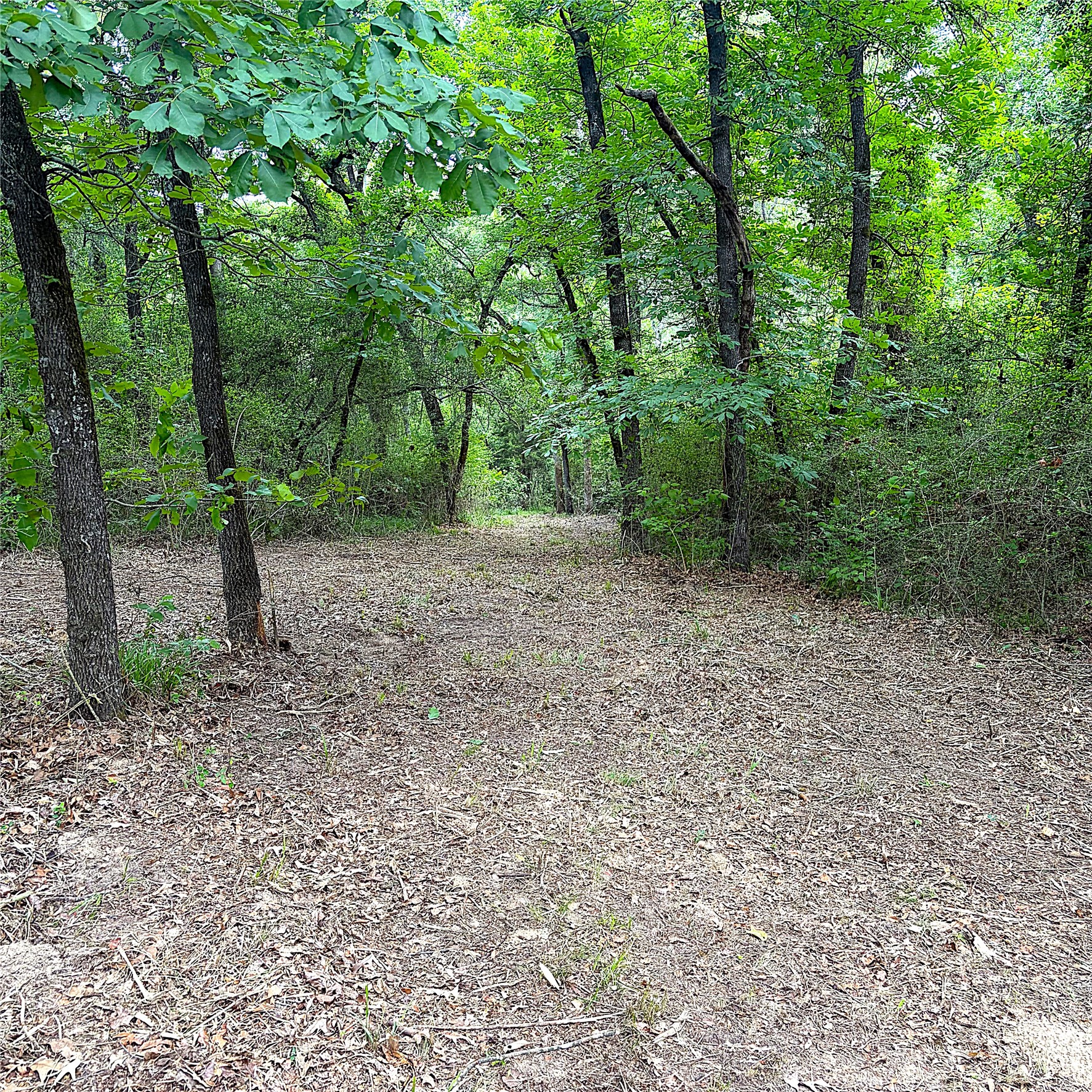 12789 E County Road 112 Property Photo 3