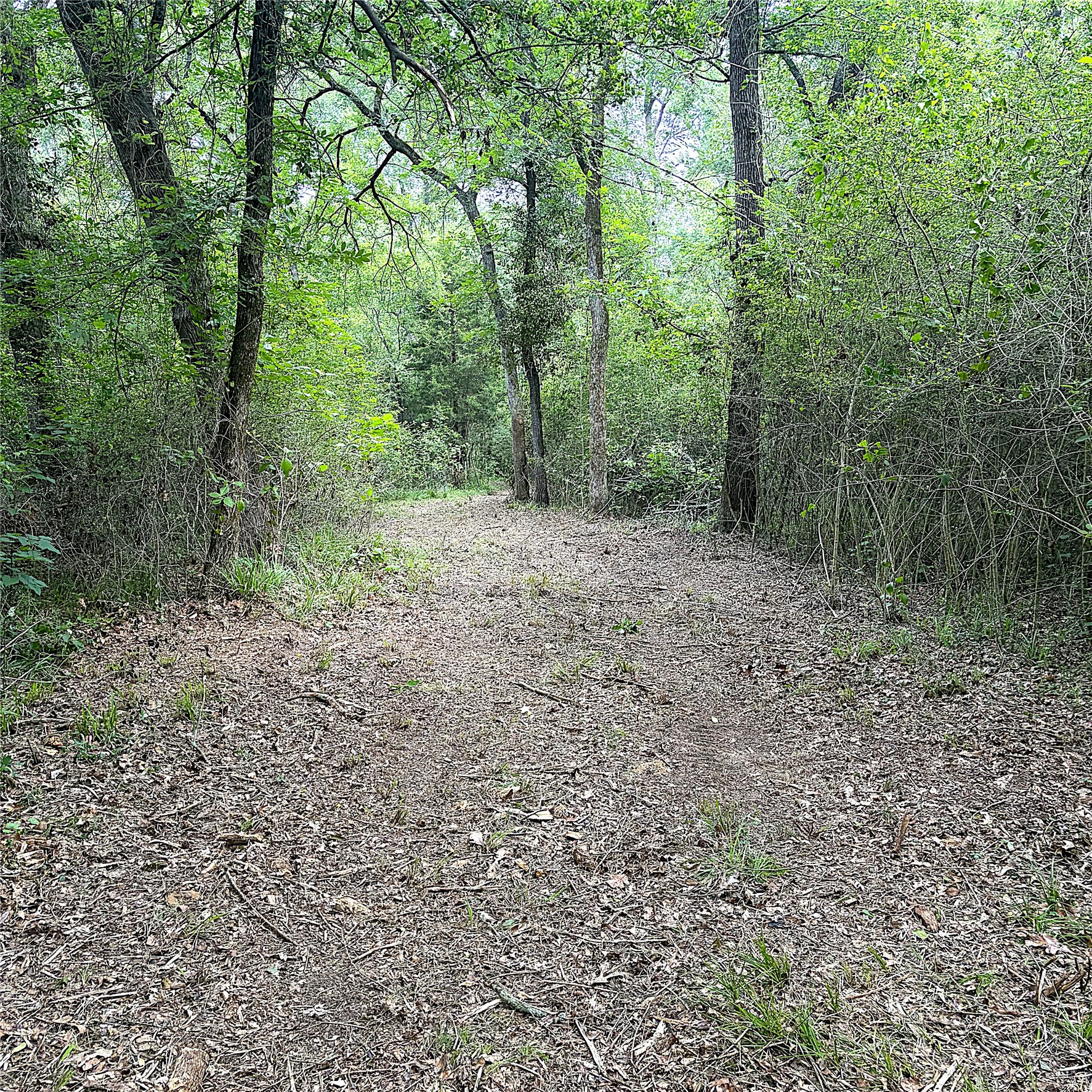 12789 E County Road 112 Property Photo 4