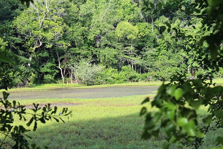 12789 E County Road 112 Property Photo 13