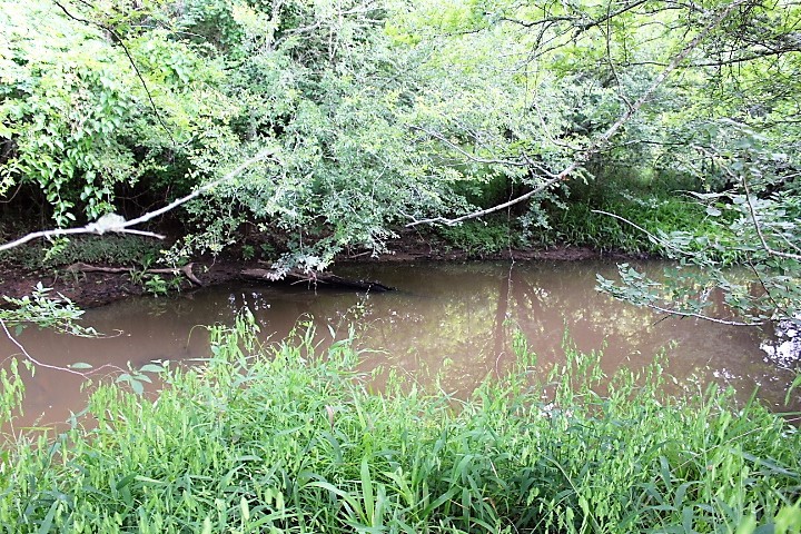 12789 E County Road 112 Property Photo 14