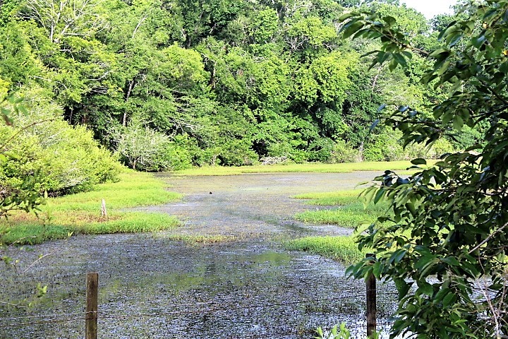 12789 E County Road 112 Property Photo 17