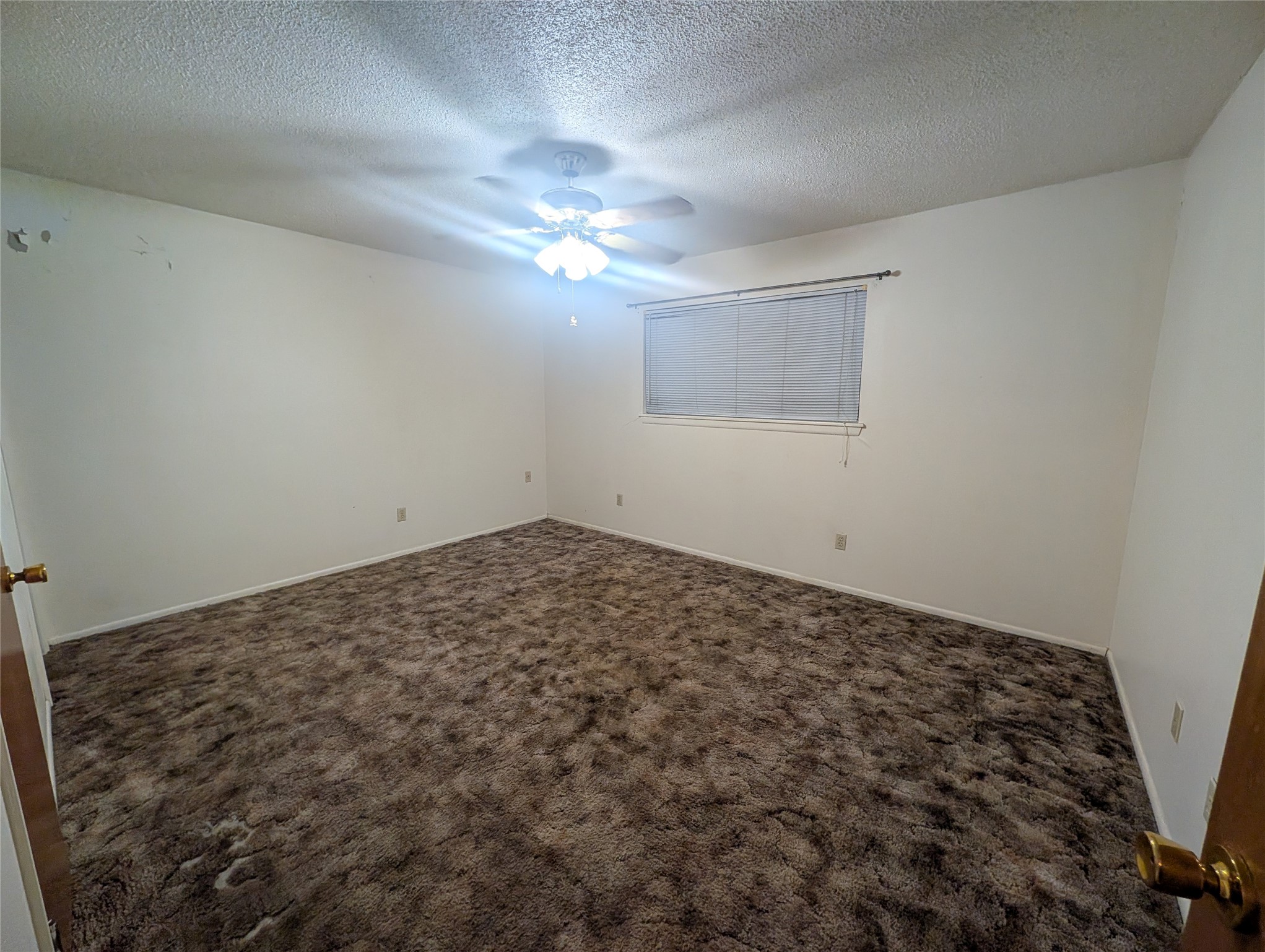 1301 Molina Court Property Photo 7