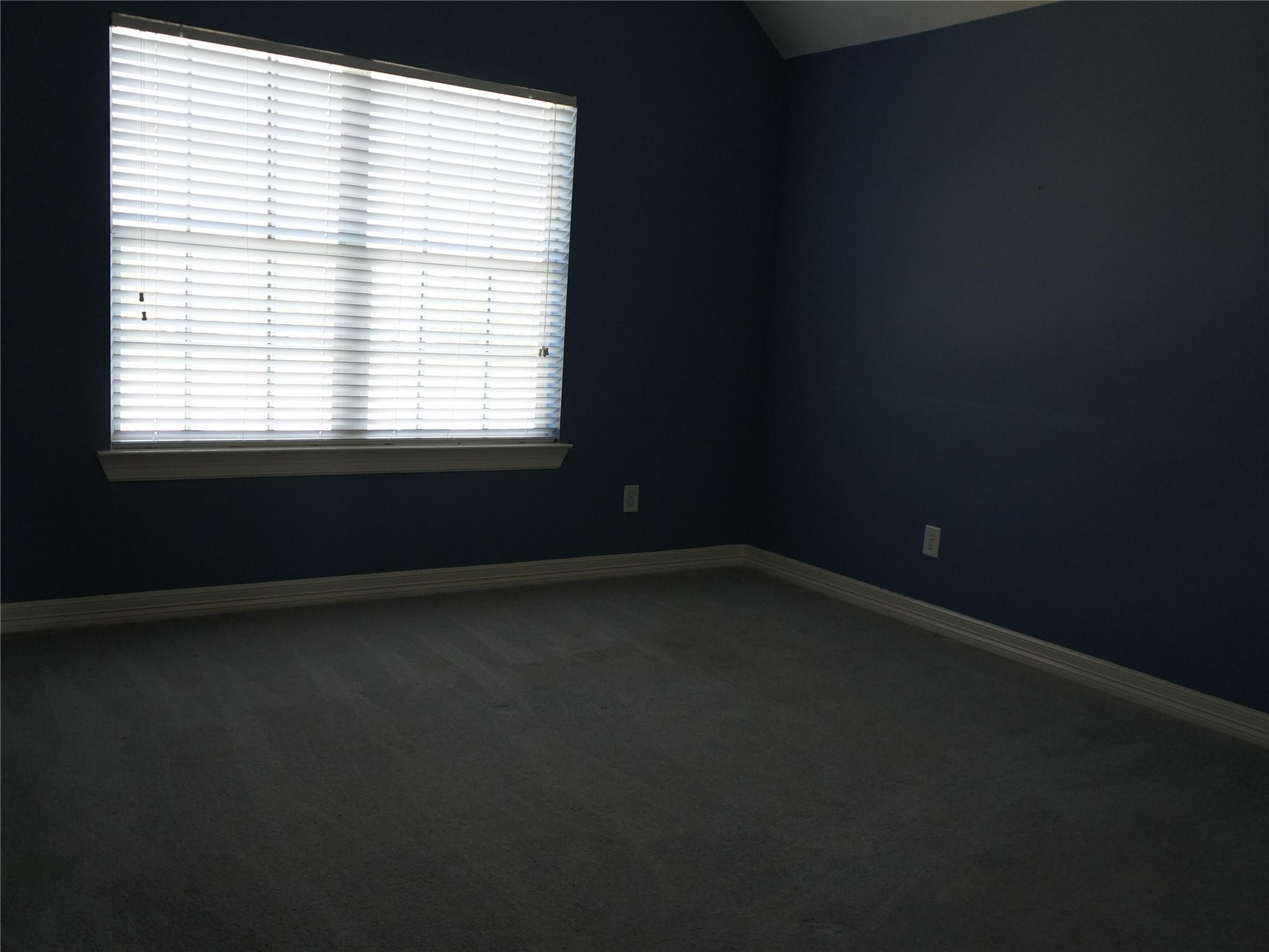 8703 Tumblewood Drive Property Photo 19