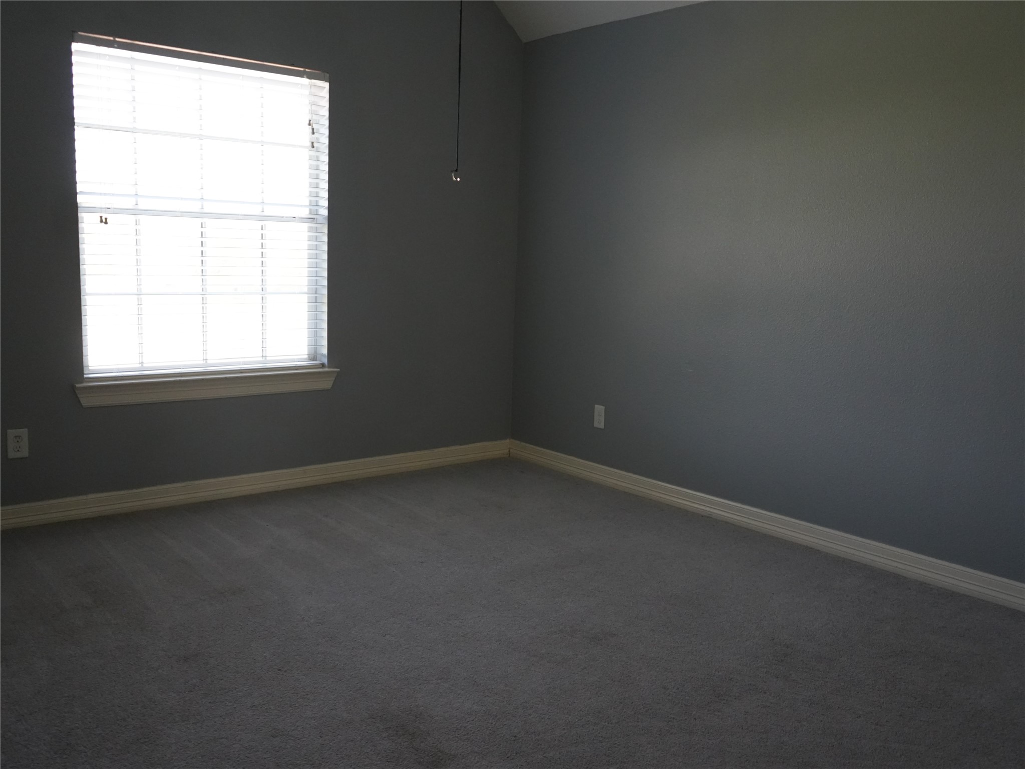 8703 Tumblewood Drive Property Photo 20
