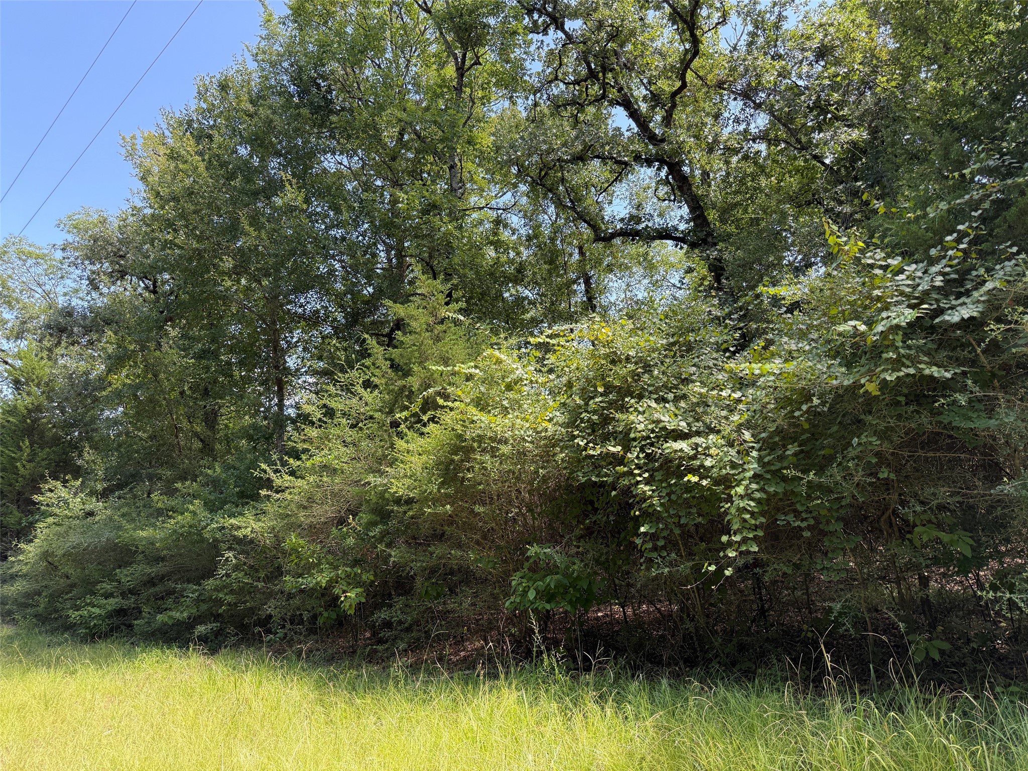 16 Ac Cr 321 Property Photo 1