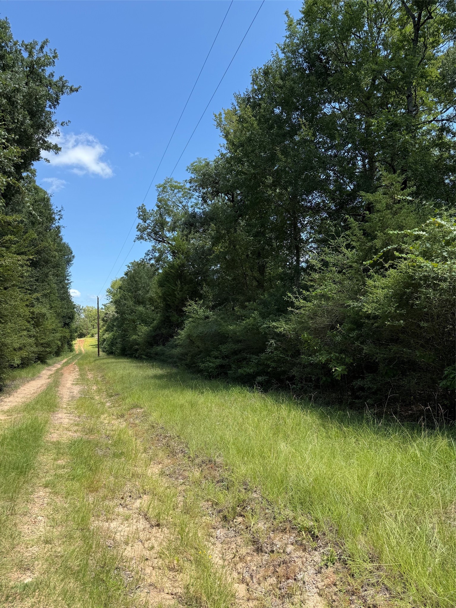 16 Ac Cr 321 Property Photo 2