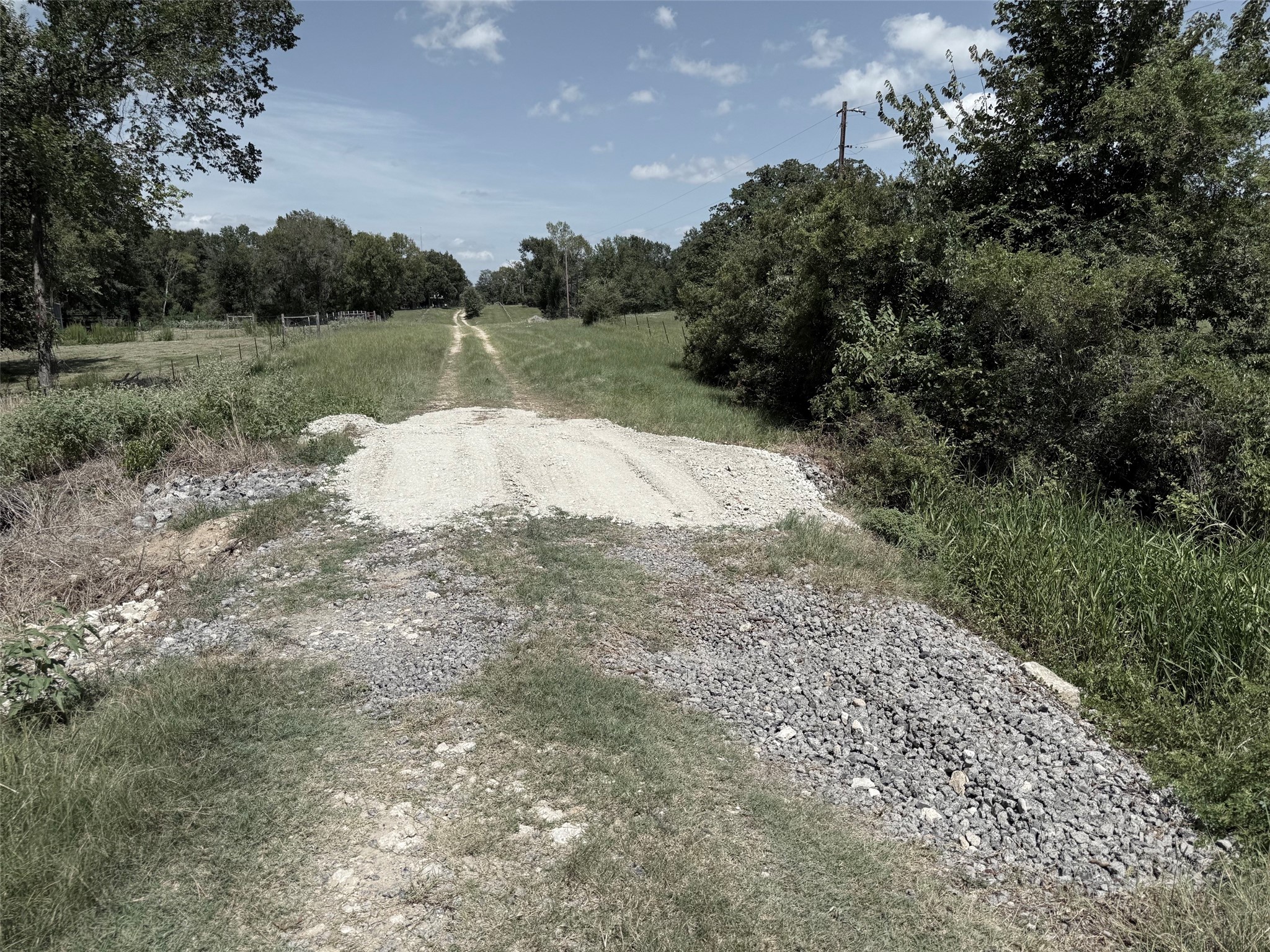 16 Ac Cr 321 Property Photo 5
