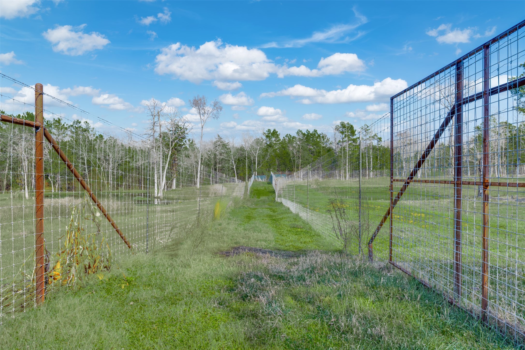 8779 Fm 768 N Property Photo 35