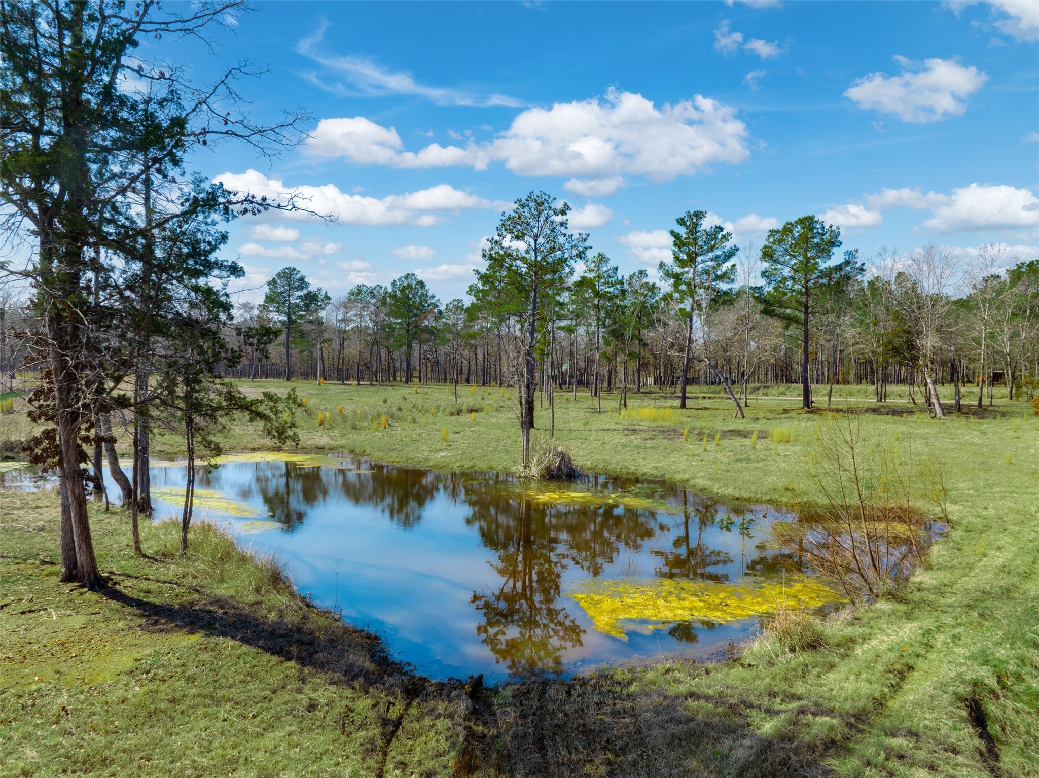 8779 Fm 768 N Property Photo 38