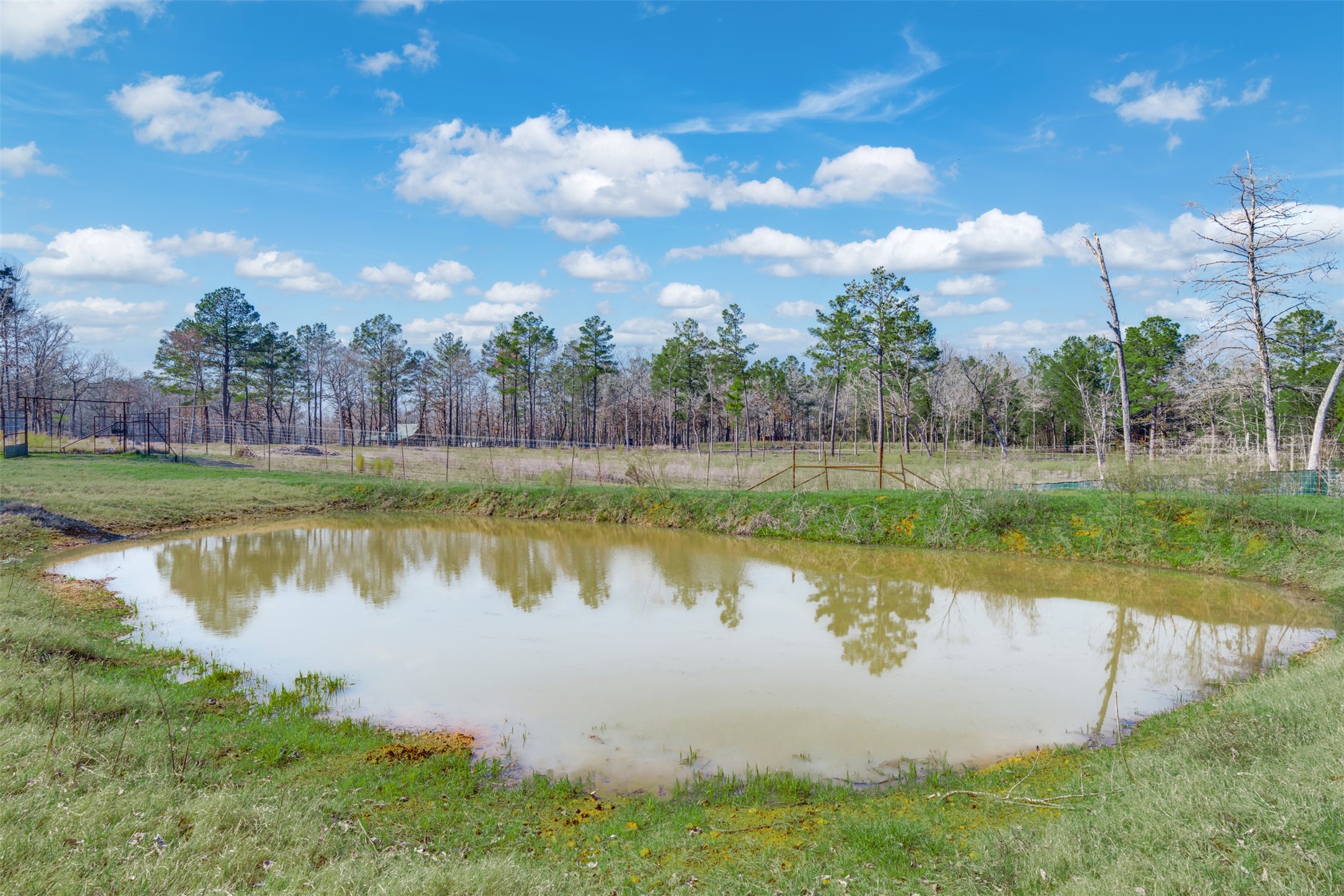 8779 Fm 768 N Property Photo 39